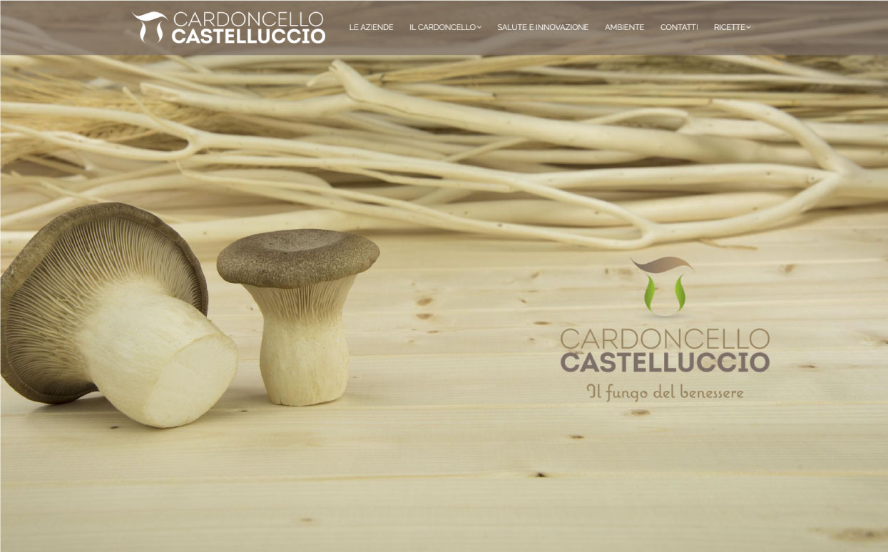 foto funghi cardoncelli lucani